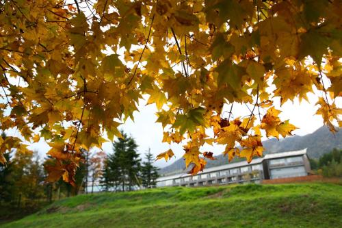 Accommodation in Furano