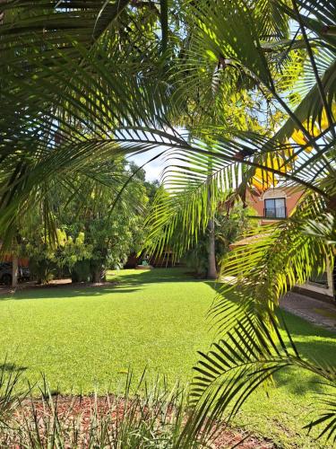 Palmareca Inn-Suites-Studio photo 4