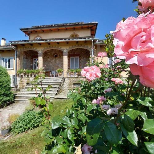 Bellavista Exclusive Tuscan Villa - Ambra