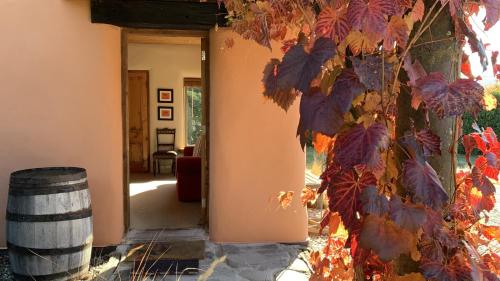 Tussock Cottage Tussock Cottage