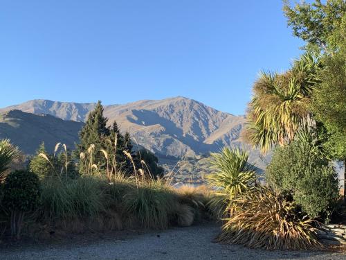 Tussock Cottage