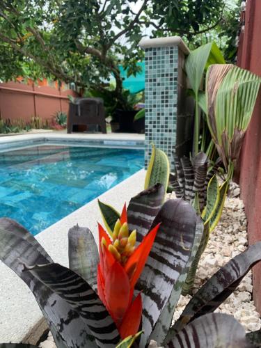 Villa JADE, La Fortuna Downtown, Fortuna (zdjęcie 8)