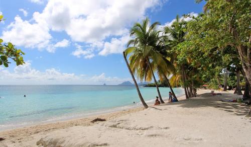 สภาพแวดล้อมโดยรอบ, La Poulette amazonienne in เดียมานท์