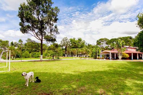 Finca Hacienda el Morichal in Bavaria