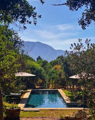 Wine Lodge de Viña Vultur en bosque nativo con piscina