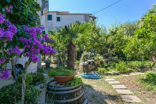 Apartments with parking space Kastel Stafilic Kastela - 20802 - image 5