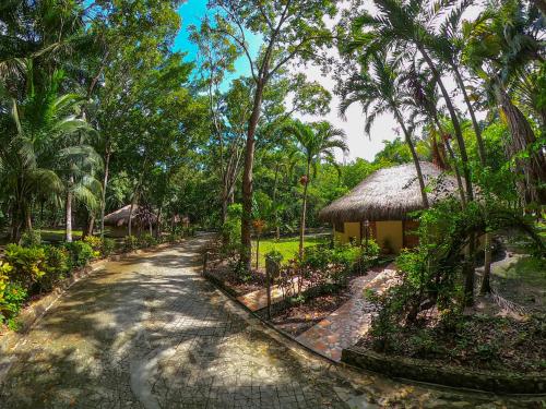 Omgeving, The Mayan Garden in Orange Walk
