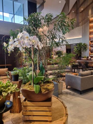 Brittany Hotel BGC, Manila (photo 9)