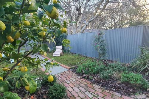 Ballarat Holiday Homes - Grant Street Cottage - Natural, Boho, Coastal Vibe - 2 kms from Sovereign Hill - Sleeps 1 to 6