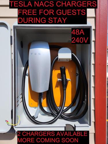 Driftwood Motel - image 10