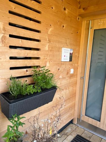 Ferienwohnung Schönenbühl (Ferienwohnung Schonenbuhl) in ฮิททิเซา