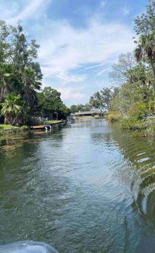 Turtle House, Crystal River (fotografie 2)