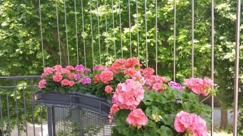 B&B LeTerrazze Boutique Hotel - Torino - image 14