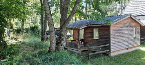 Chalet Montana Camping le Champ du moulin - Vénosc