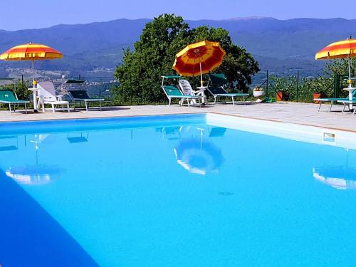  Beautiful farmhouse with swimming pool, Pension in Poppi