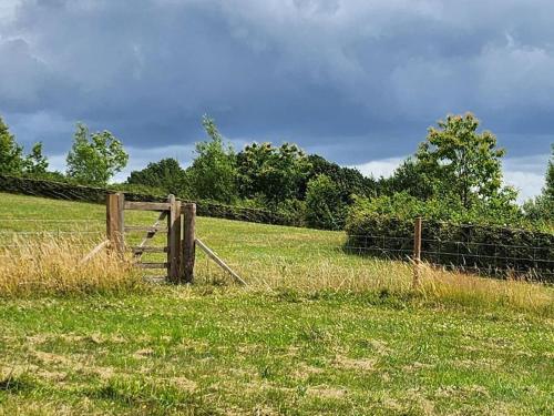 The Meadow