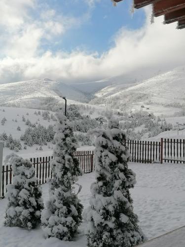 Brvnare Mir Zlatibor - image 9