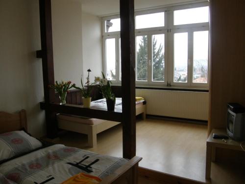 Villa Bellevue Dresden, Drezno (zdjęcie 6)