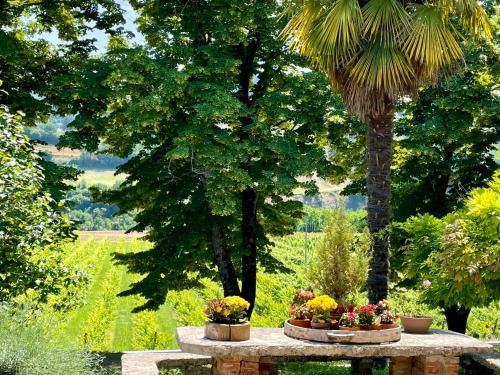  Il Cardello Locanda in Casola Valsenio
