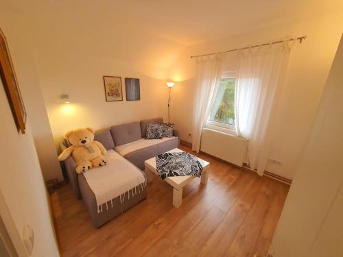 Accommodation in Pomoravlje