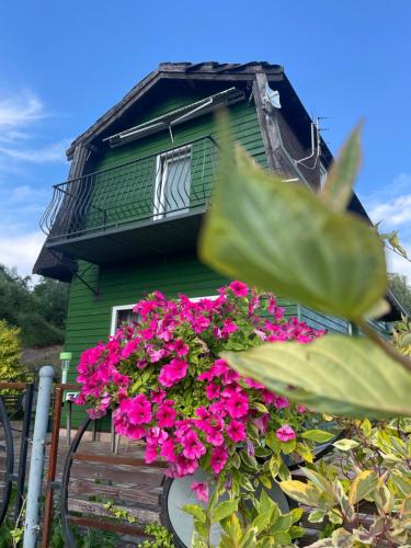 Domki Nad Stawami Apartament