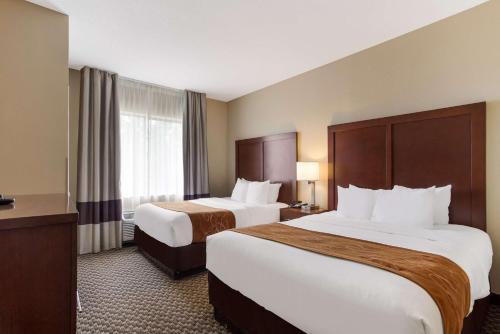 Comfort Suites North Mobile - image 12