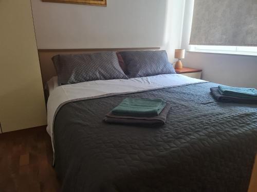 1 queen bed, 1 sofa bed