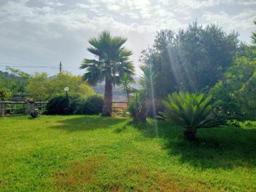 Casale 920, Agropoli (Foto 8)