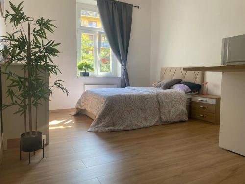Cozy Apt near Prague Castle