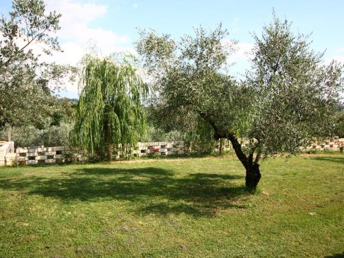 Cosy holiday home in Selci with swimming pool