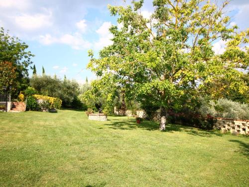 Cosy holiday home in Selci with swimming pool