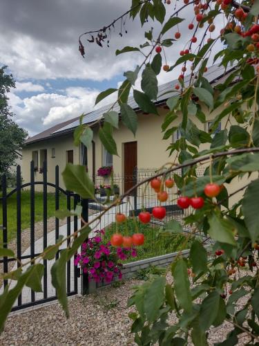 Agroturystyka W kurniku z jacuzzy in Lubieszyn