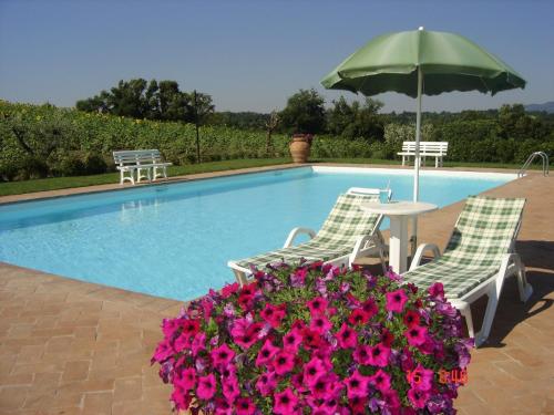 Cosy Farmhouse in Proceno with Swimming Pool