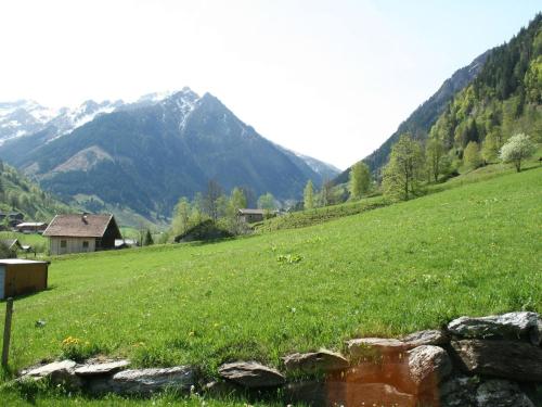 Chalet Aleida Xl - image 10