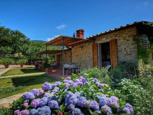 One-Bedroom Holiday Home