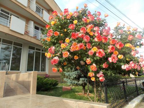 Hotel Holiday – Eforie Nord, CA