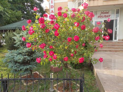 入口, 假日酒店 (Hotel Holiday) in 北埃福列