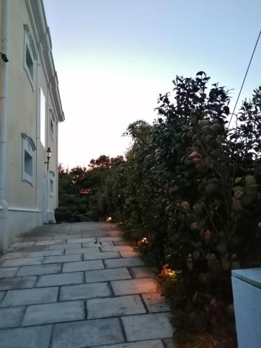 Quinta das Perdizes - Low Cost gîte à louer Populo