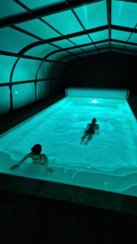 Peldbaseins, La Villa 1848 by Vindihouses - piscine chauffée - sauna - billard - babyfoot (La Villa 1848 by Vindihouses - piscine chauffee - sauna - billard - babyfoot) in Épinac