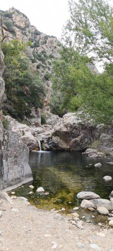 Villa Les Martinets - Piscine et Jacuzzi-Voie Verte Passa Pais-Gorges d'Héric-Massif du Caroux-Chambre d'hôte