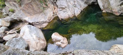 Villa Les Martinets - Piscine et Jacuzzi-Voie Verte Passa Pais-Gorges d'Héric-Massif du Caroux-Chambre d'hôte