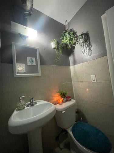 Miami Vibes "Hostel-Like" Shared Room in North Miami, USA