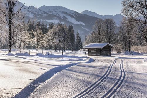 Pension Wolfsegg - image 7