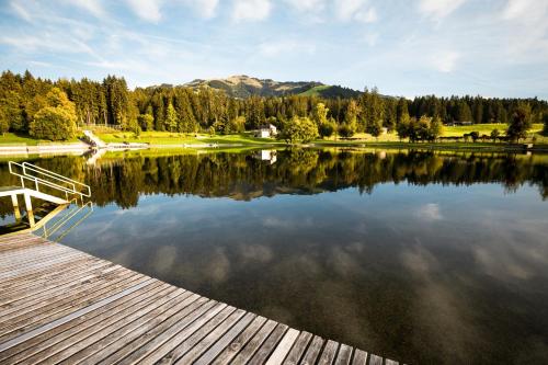 Pension Wolfsegg - image 6