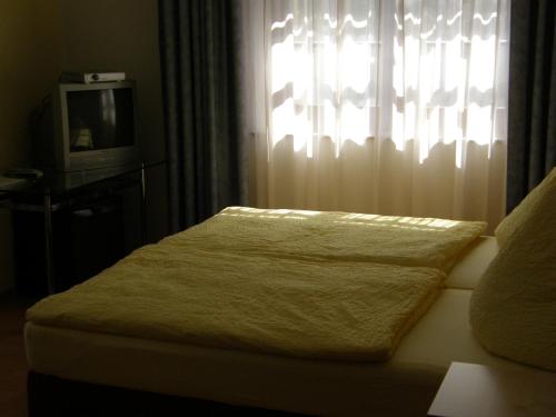 Double Room room in Hotel Pension zu Dresden Altpieschen