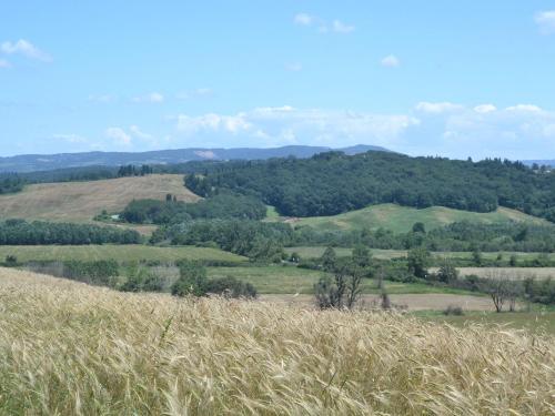 Cosy agriturismo in Toscana with outdoor swimming pool