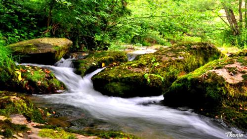 Apartaments El Trèvol