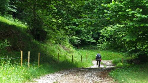 Apartaments El Trèvol