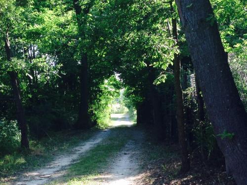 La Ginestra – Orentano, MN