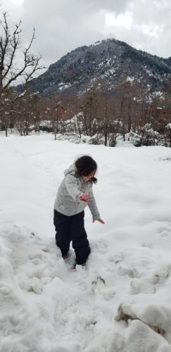 Cabañas Nevados Del Valle